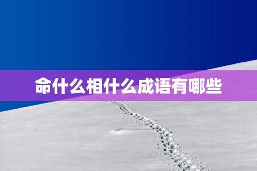 命什么相什么成语有哪些