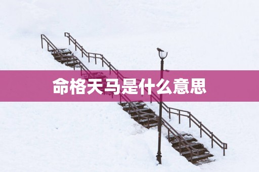 命格天马是什么意思