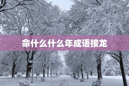 命什么什么年成语接龙