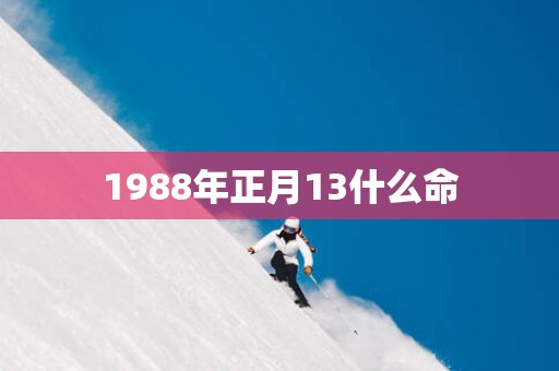 1988年正月13什么命