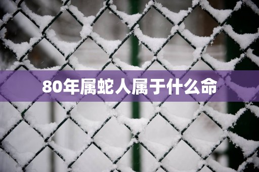 80年属蛇人属于什么命