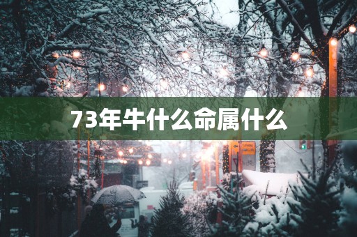 73年牛什么命属什么