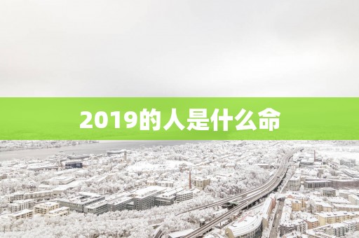 2019的人是什么命
