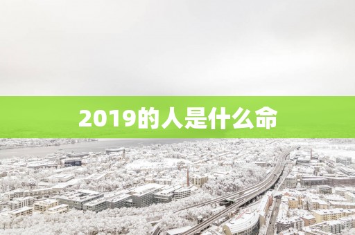 2019的人是什么命