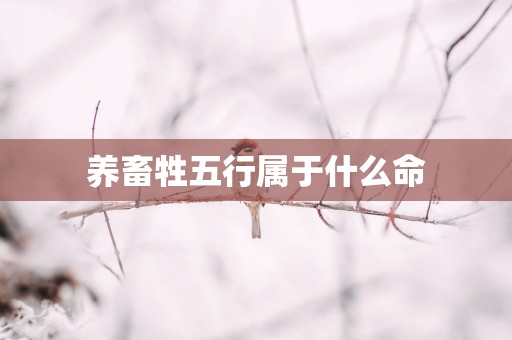 养畜牲五行属于什么命