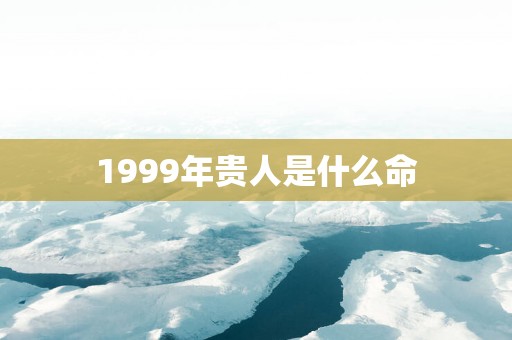 1999年贵人是什么命