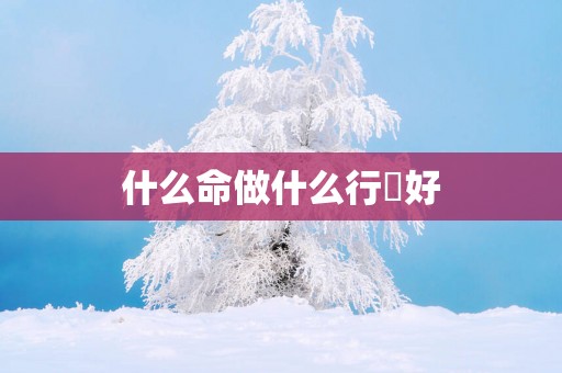 什么命做什么行業好