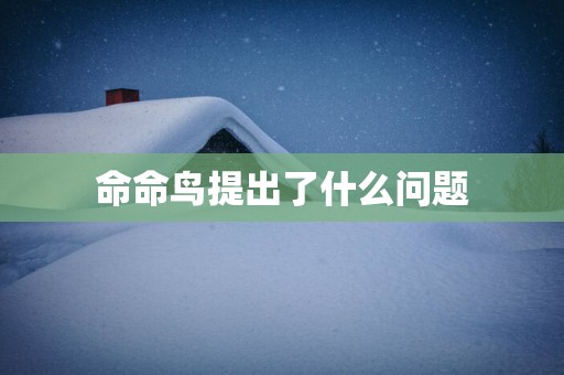 命命鸟提出了什么问题
