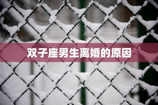 双子座男生离婚的原因