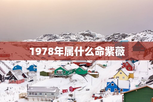 1978年属什么命紫薇