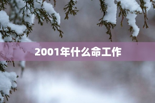 2001年什么命工作