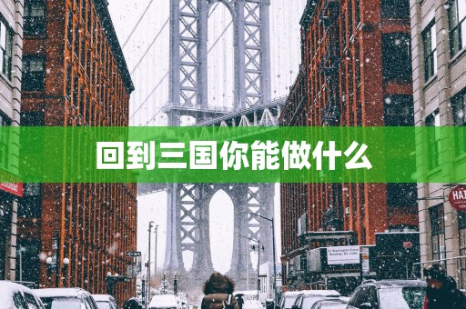 回到三国你能做什么