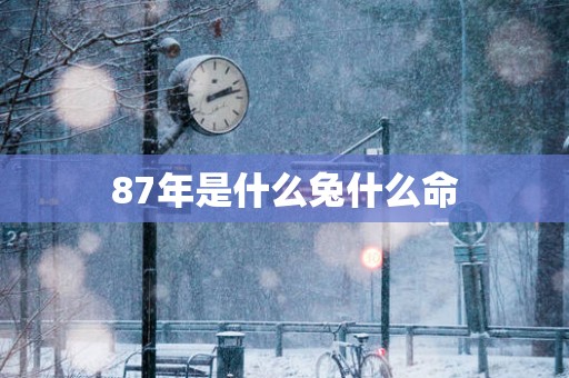 87年是什么兔什么命