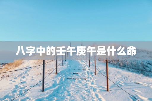 八字中的壬午庚午是什么命