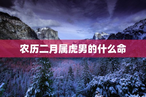 农历二月属虎男的什么命