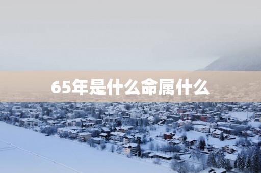 65年是什么命属什么