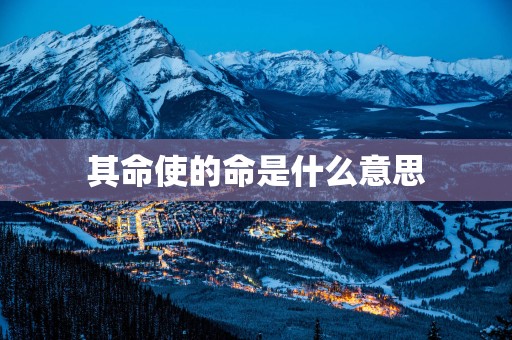 其命使的命是什么意思