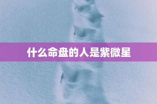 什么命盘的人是紫微星