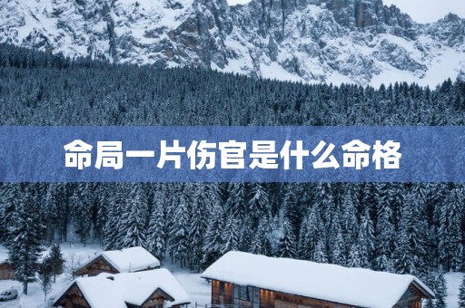 命局一片伤官是什么命格