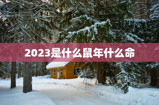 2025是什么蛇年什么命