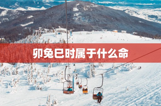 卯兔巳时属于什么命