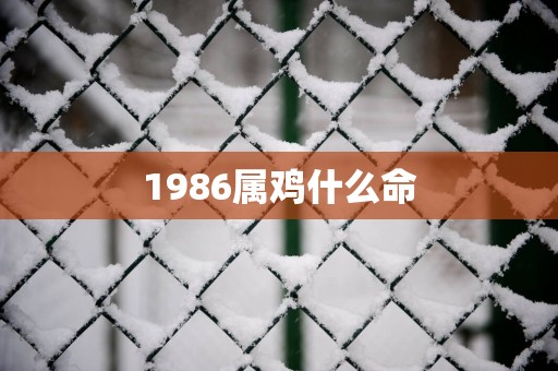 1986属鸡什么命