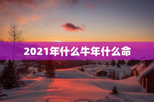 2025年什么蛇年什么命