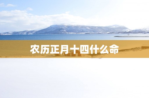 农历正月十四什么命