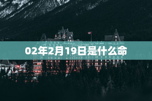 02年2月19日是什么命