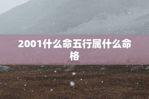 2001什么命五行属什么命格