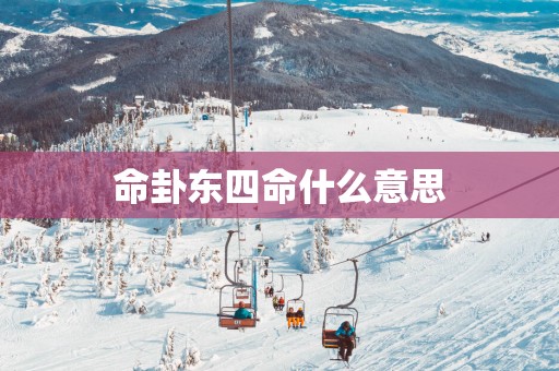 命卦东四命什么意思