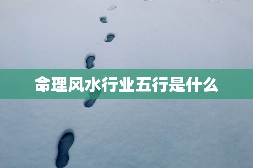 命理风水行业五行是什么