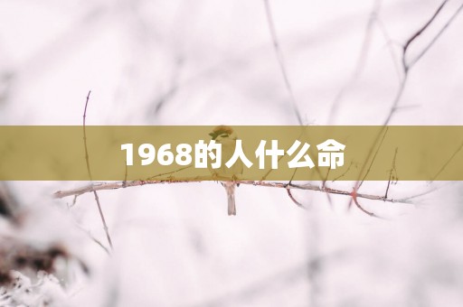 1968的人什么命