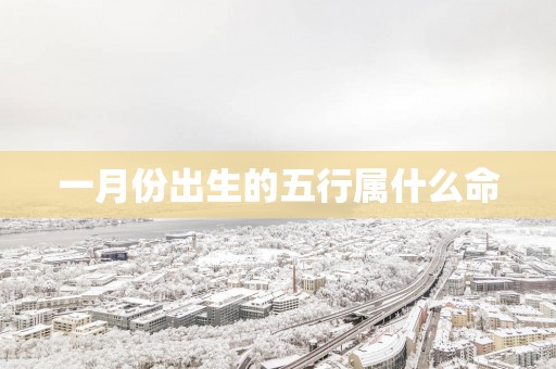 一月份出生的五行属什么命