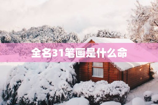 全名31笔画是什么命