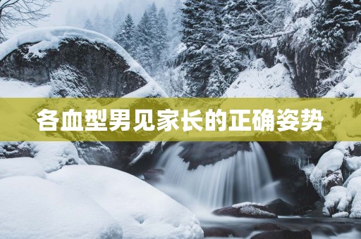 各血型男见家长的正确姿势