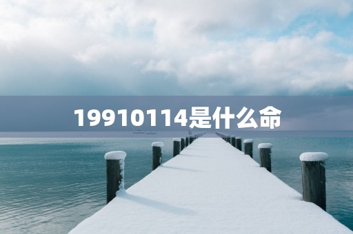 19910114是什么命