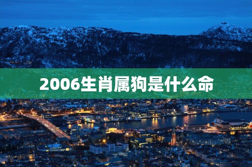 2006生肖属狗是什么命