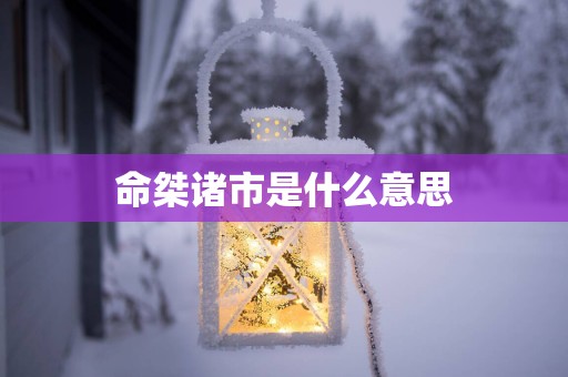 命桀诸市是什么意思
