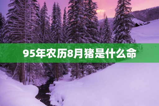 95年农历8月猪是什么命