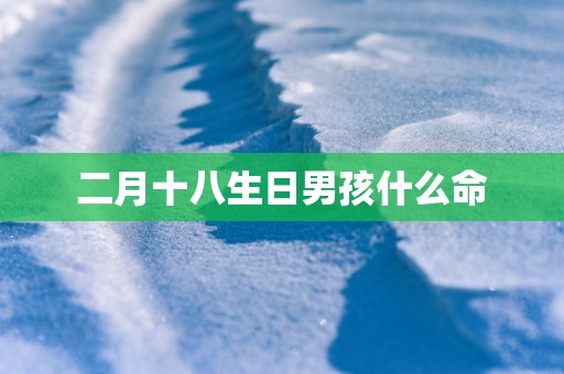 二月十八生日男孩什么命