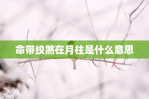 命带绞煞在月柱是什么意思