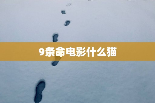9条命电影什么猫