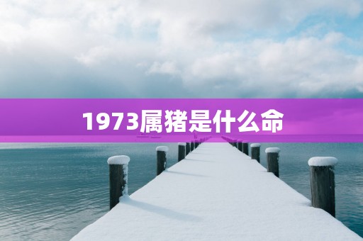 1973属猪是什么命