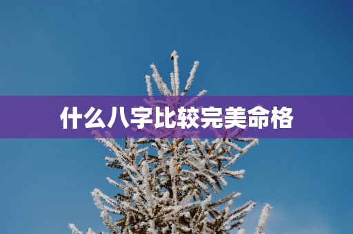 什么八字比较完美命格