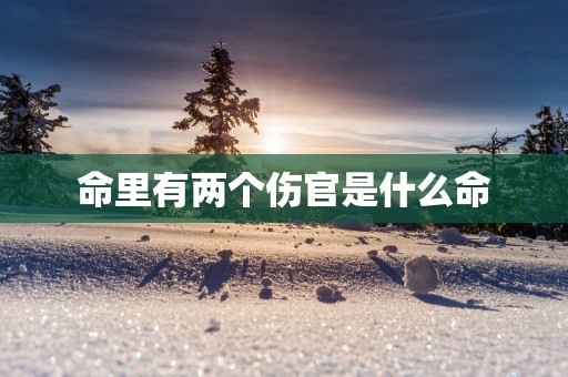 命里有两个伤官是什么命