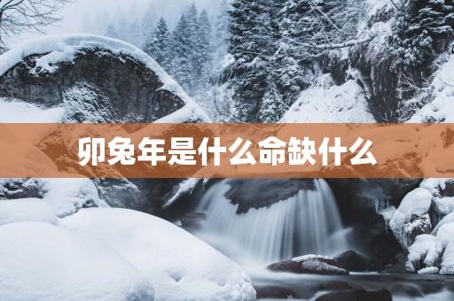 卯蛇年是什么命缺什么
