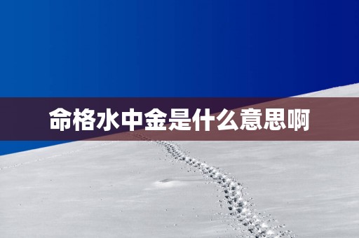 命格水中金是什么意思啊