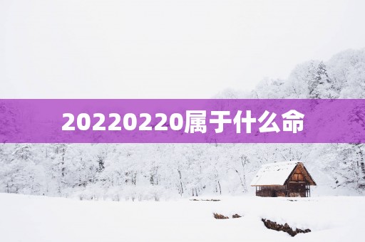 20250220属于什么命