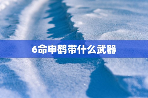 6命申鹤带什么武器